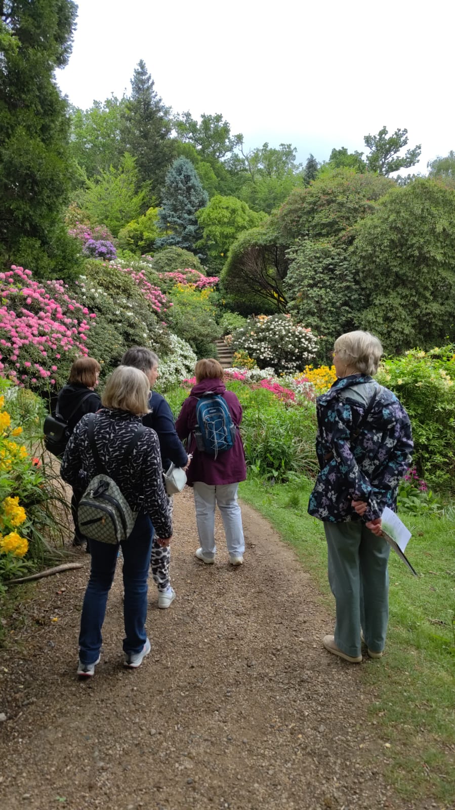Leonardslee Gardens visit