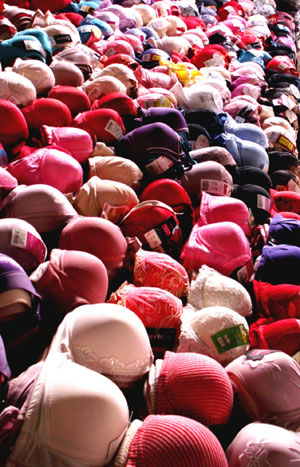 pg-16-and-17 Pauline-Rhodes