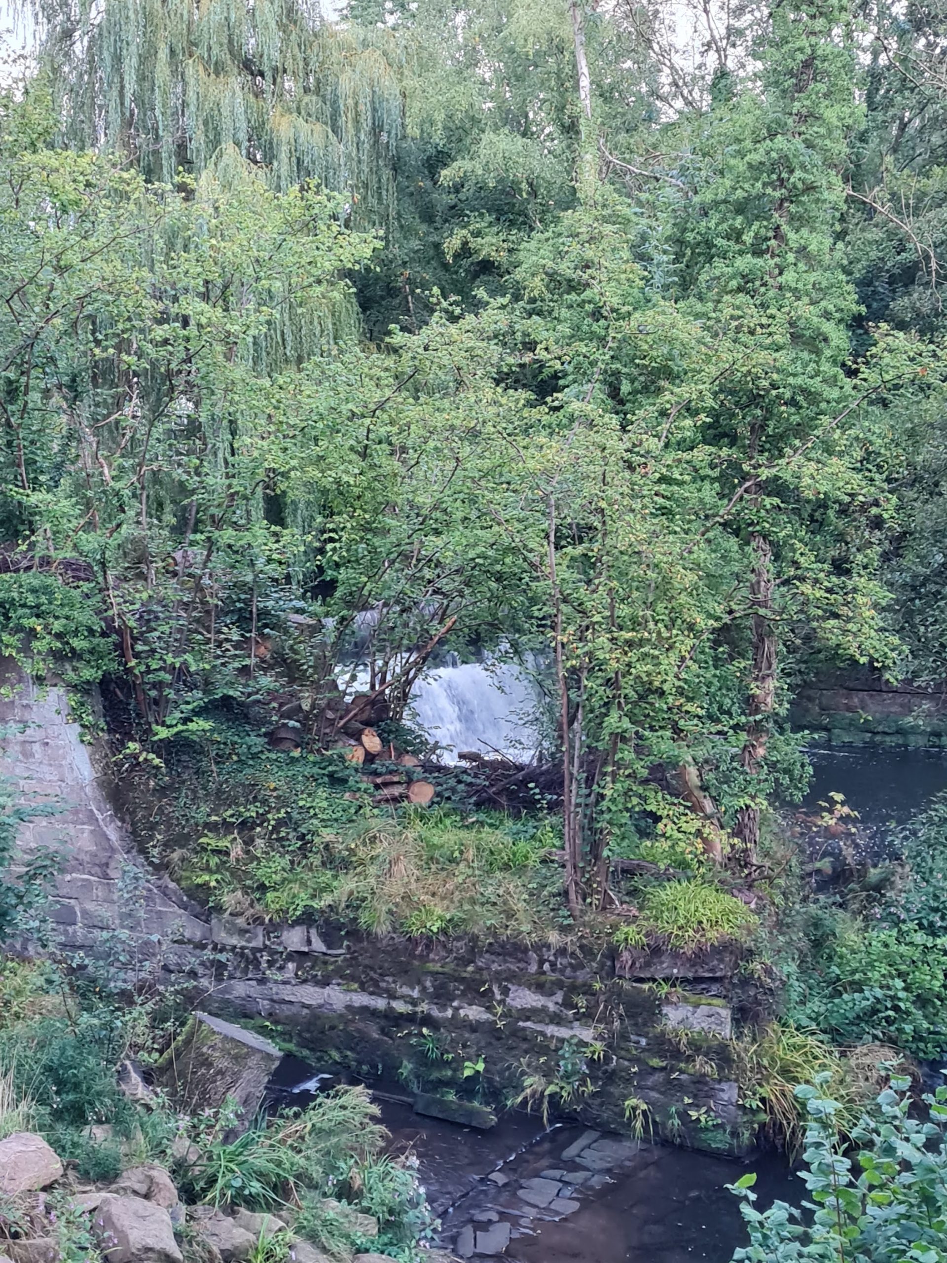 Congleton Hydro weir