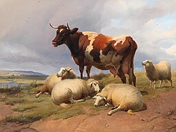 Cattle and sheep in a landscape
