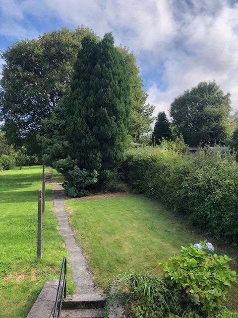 This image has an empty alt attribute; its file name is Kilbarchan-back-garden-1.jpg