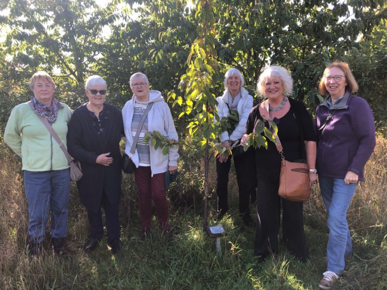 Nwr Visit to our Tree - NWR